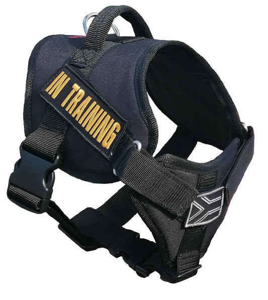 Webbing Harness