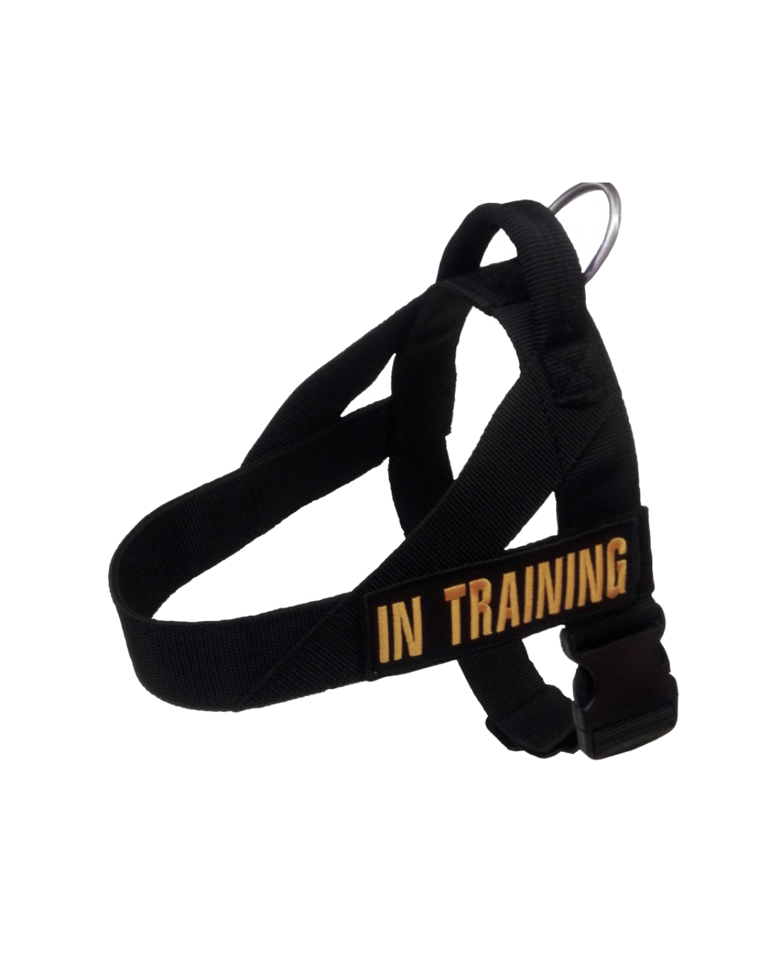 Double- Ply 50mm Duty Harness