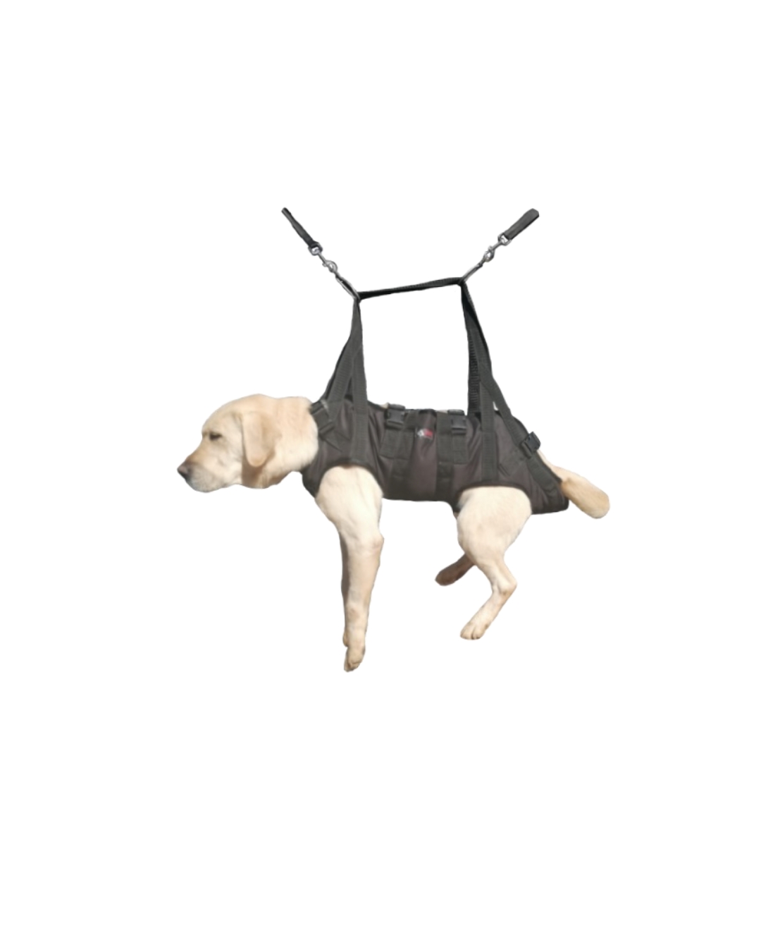 Rigging Rescue Harness – Secure, Versatile & Heavy-Duty